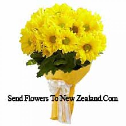 Cool 19 Yellow Gerberas