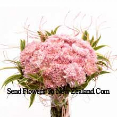 25 Pretty Pink Carnations