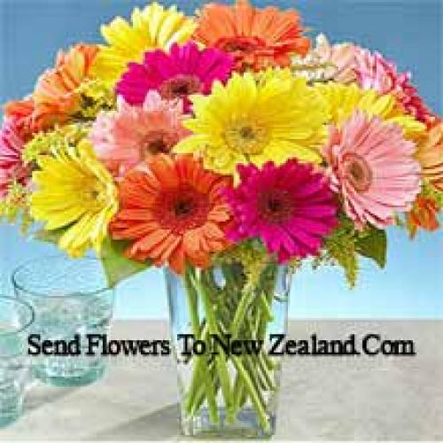 25 Frumoase Gerbera Mixte