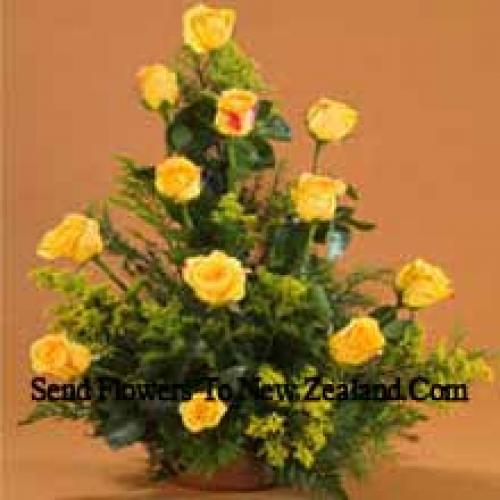 11 Charming Yellow Roses