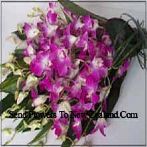 Cute Orchids Bunch