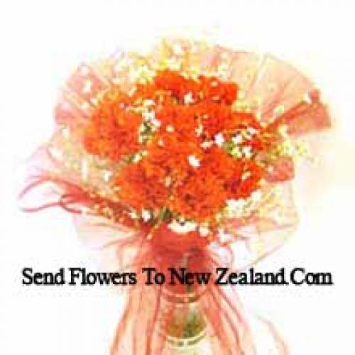 11 Orange Carnations in Vase